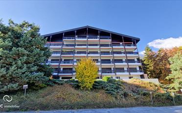 Apartment 2.5 rooms - image - 1