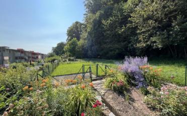 Wohnung 4.5 Zimmer - image - 4