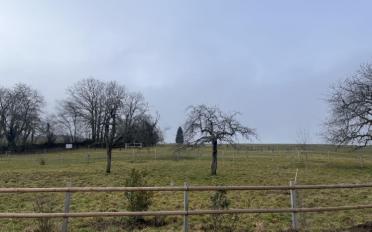 Villa 4.5 pièces - image - 1