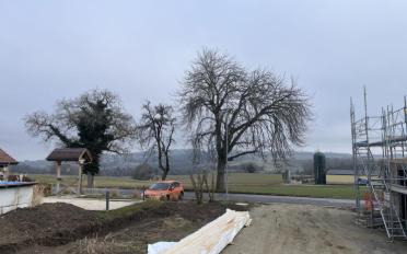 Villa 4.5 pièces - image - 9