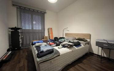 Wohnung 3.5 Zimmer - image - 8