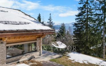 Chalet 10 pièces - image - 1