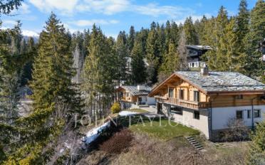 Chalet 10 pièces - image - 2