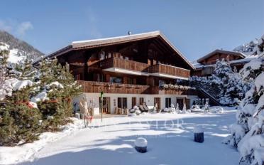 Chalet 12 Zimmer - image - 1