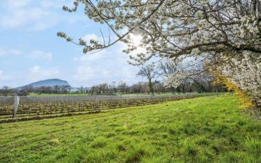 Single house - image - 3