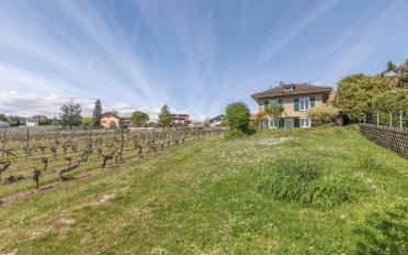 Single house - image - 1