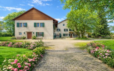 Single house 13 rooms - image - 2