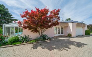Villa 10 Zimmer - image - 19