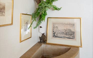 Single house - image - 3