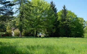 Single house - image - 26