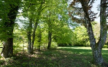 Single house - image - 28