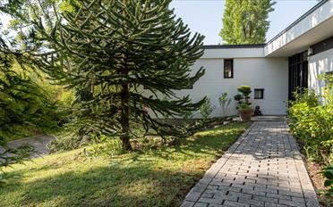 Villa - image - 2