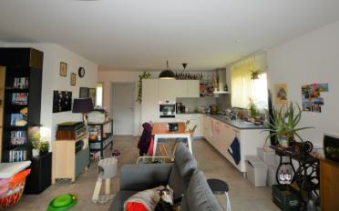 Wohnung 3.5 Zimmer - image - 5
