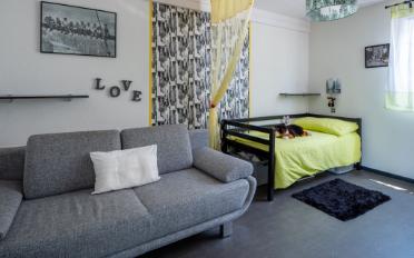 Villa 8 Zimmer - image - 17
