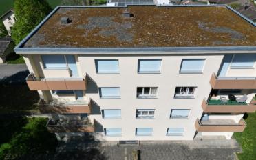 Apartment - image - 4