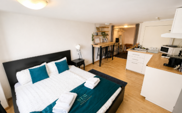 Studio 1 room - image - 1