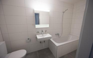 Appartement 3.5 pièces - image - 2