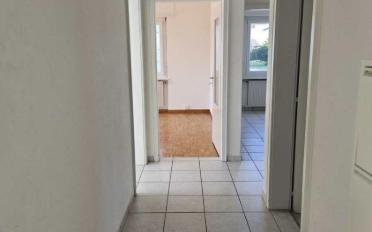 Wohnung 4.5 Zimmer - image - 17