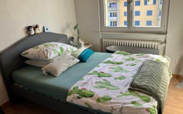 Wohnung 3 Zimmer - image - 6