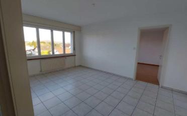 Apartment 2.5 rooms - image - 8