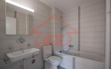 Apartment 3.5 rooms - image - 13