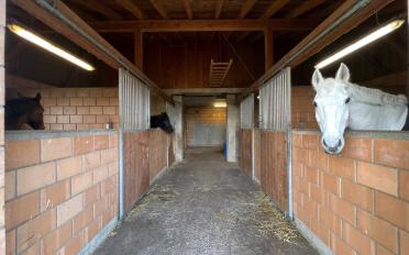 Ferme 4.5 pièces - image - 6