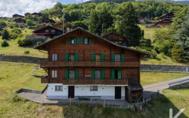 Chalet 11 rooms - image - 1