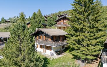 Chalet 4.5 Zimmer - image - 1