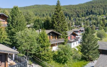 Chalet 4.5 Zimmer - image - 2