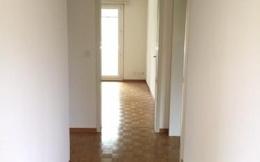 Wohnung 2 Zimmer - image - 7