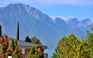 Appartement meublé 2 pièces - image - 13