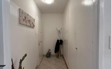 Apartment - image - 4
