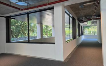 Büro 1.5 Zimmer - image - 8