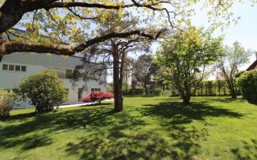 Single house 10 rooms - image - 9