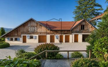 Villa 11 Zimmer - image - 3