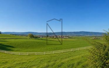Villa 11 Zimmer - image - 5