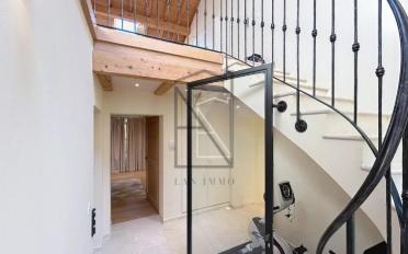 Villa 11 Zimmer - image - 12