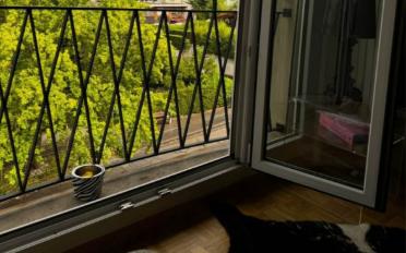 Appartement - image - 2