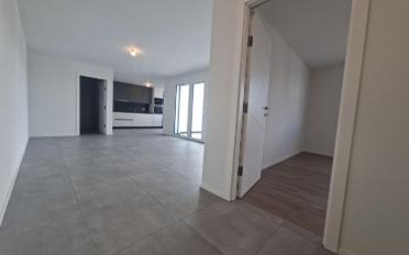 Apartment 2.5 rooms - image - 4