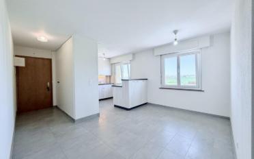 Attikawohnung 4.5 Zimmer - image - 1