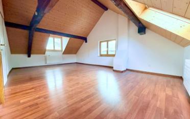 Farm house 12.5 rooms - image - 7