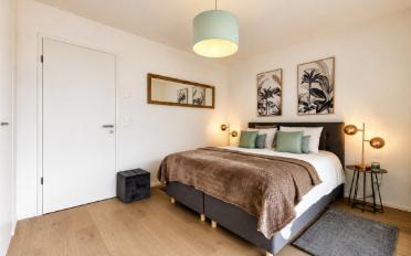 Wohnung 4.5 Zimmer - image - 4