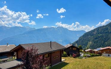 Chalet 5 rooms - image - 12
