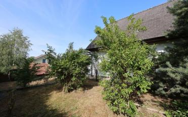 Single house 4 rooms - image - 4