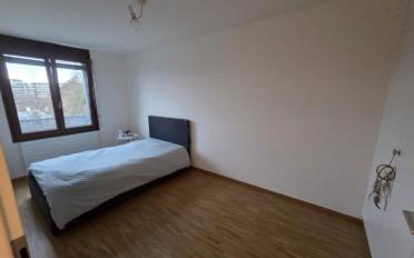 Duplex 6 Zimmer - image - 9