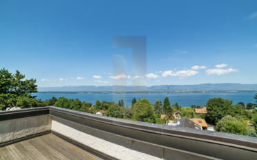 Einfamilienhaus 10 Zimmer - image - 8