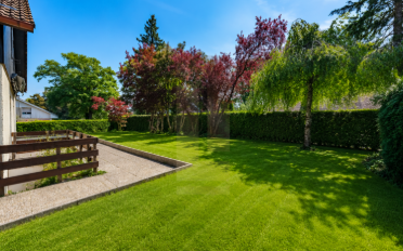 Single house - image - 2