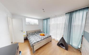 Wohnung 3.5 Zimmer - image - 5