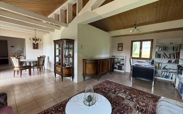 Einfamilienhaus 6.5 Zimmer - image - 7
