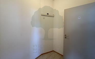 Praxis 5.5 Zimmer - image - 9